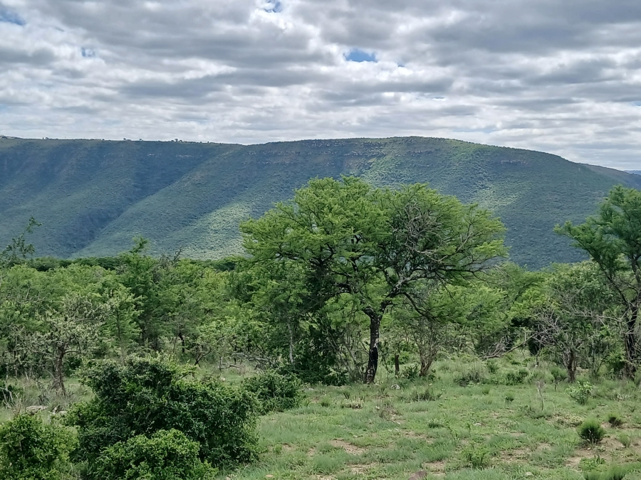 0 Bedroom Property for Sale in Stutterheim Rural Eastern Cape